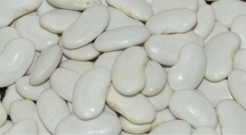 8 فوائد للفاصوليا البيضاء