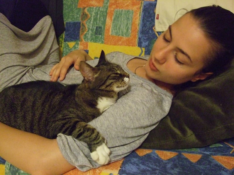 بالصور .. أفكار تُعينك على اقتناء الحيوانات الأليفة بمنزلك دون الإضرار بالديكور