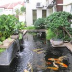 صور: ديكور غرفة معيشة خشبي