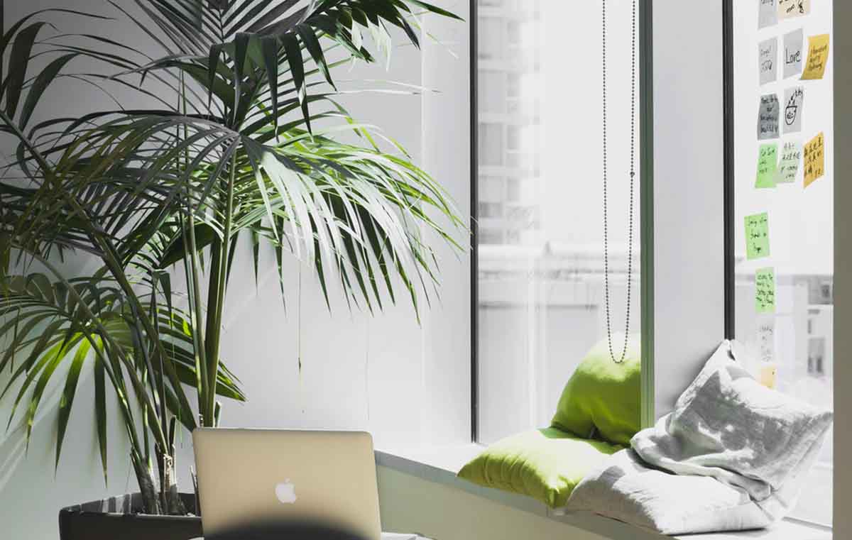 This is a great photo and nice style for shooting