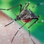 إليكِ البدائل التربوية الصحيحة عوضاً عن الضرب