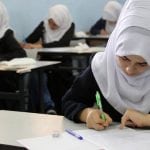 رولات الباذنجان