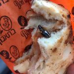 بالصور: عقيلة رئيس الوزراء تلتقي عميدة كلية الزراعة و الطب البيطري بجامعة النجاح