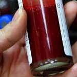 غضب عارم .. تفاصيل كارثة قتل شاب برام الله بالسم على يد زوجة والده ووالده