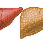 “انت لها” تنشر نتائج منافسات معرض فلسطين للعلوم والتكنولوجيا