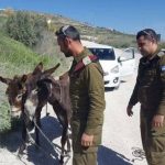 مركز ديمة للعقم  يشارك بافتتاح قسم النسائية في المستشفى النمساوي