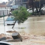 جرار: أسيرات سجن الدامون يعانين ظروفا قاسية ولا خصوصية لديهن