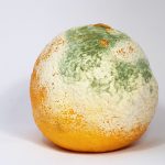 4 عادات بسيطة تزيد من كثافة شعرك