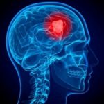 “روتانا” تحذف أرشيف إليسا الغنائي من “أنغامي”.. كيف كانت ردة فعلها