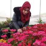 استخدامات غير معتادة لمجفف الشعر