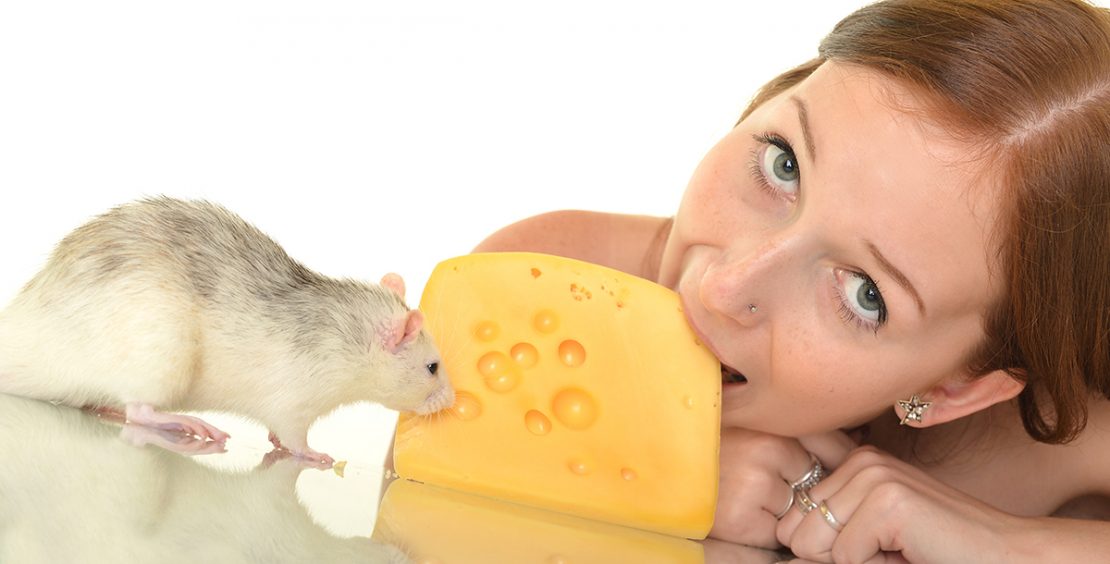 إذا داومت على تناول الجبنة بصورة يومية هذا ما سيحدث لك !