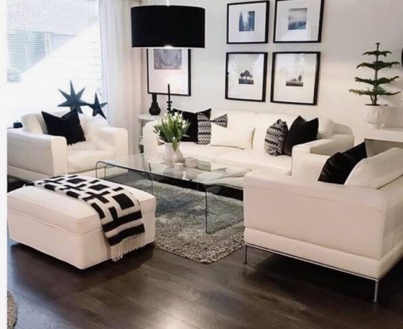 60131296_2648239908755752_961541635957587968_n