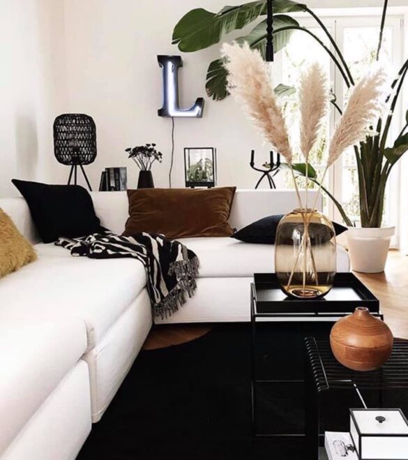 60252726_2648239845422425_8595342393912328192_n