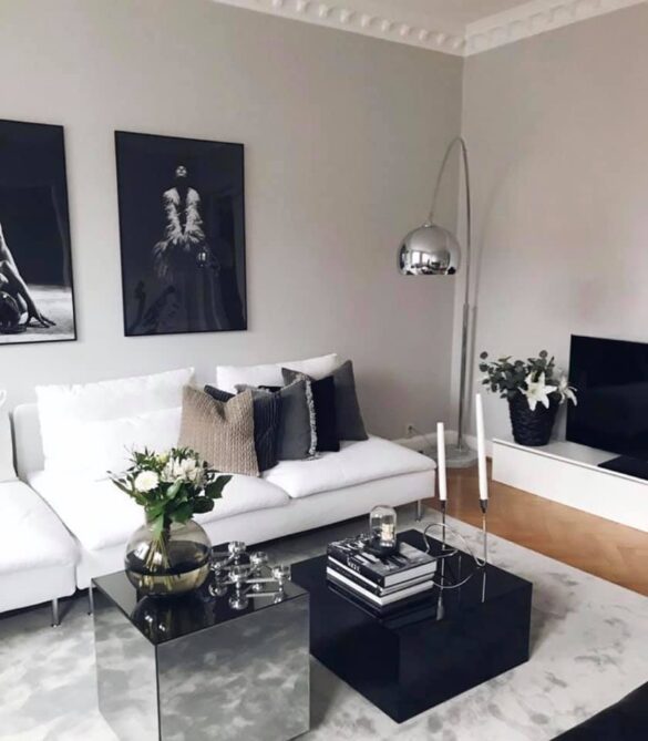 60362404_2648239898755753_7141377371579351040_n