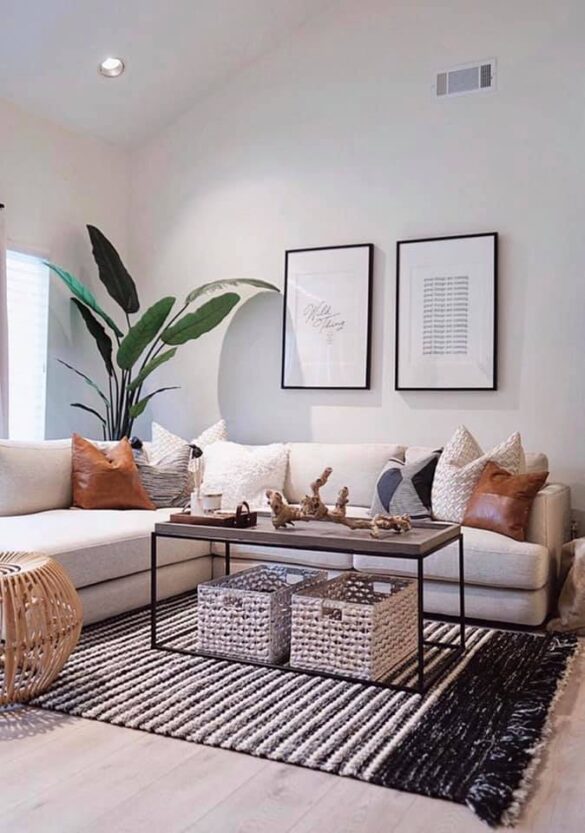 60466646_2648240052089071_7787699649602650112_n