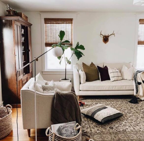 60518456_2648239992089077_7027536239741894656_n