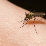 بالصور… معرض كاراميل في جامعة النجاح