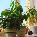 الطرقات والممرات بالمنزل أفكار متعددة للاستغلال الأمثل “صور”