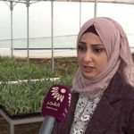 الأم المتطوعة