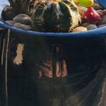 وزيرة المرأة تبحث آليات التعاون مع وكيلة وزارة الخارجية والمغتربين