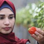 نصائح قيمة لتدفئة عملية للشقق والمنازل