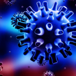 الحاجة شلبية في الطريق لتحقيق حلمها (فيديو وصور)