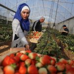 كهرباء القدس ووزارة شؤون المرأة تنظمان ورشة توعوية لموظفي الوزارة