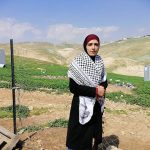 “الفراولة المعلّقة” مشروع لمهندسة زراعية تحدّت البطالة