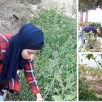 انطلاق سلسلة “مع الجيطان” لتعزيز التوعية في اختيار الأثاث