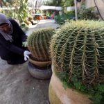 نصائح لتكوني زوجة مثالية