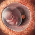 التعليم عن بعد وفرط الحركة.. كيف للأم مساعدة طفلها على التركيز؟