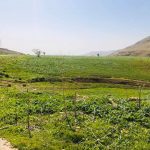 تعرفي على طريقة توسيع الحذاء الضيق