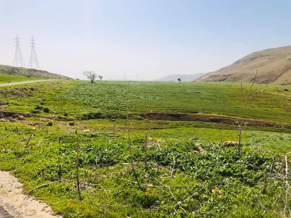 مع اقتراب الربيع تعرفي على أفكار وجبات سهلة التحضير للرحلات