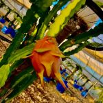 عرين ريناوي: بالفكرة والخيال والاجتهاد تبني المرأةُ واقعاً مختلفاً