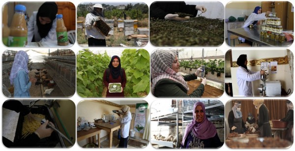 تراجع حاد في أداء المشاريع النسوية بسبب إجراءات الاحتلال